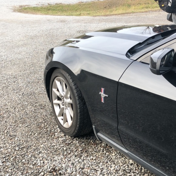 Meet your Posher, Dustin - Picture 1 of 1